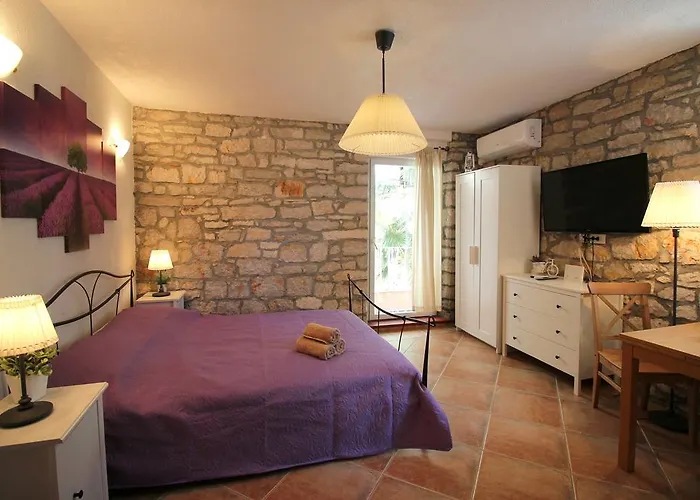 Apartament Driovier 11 *